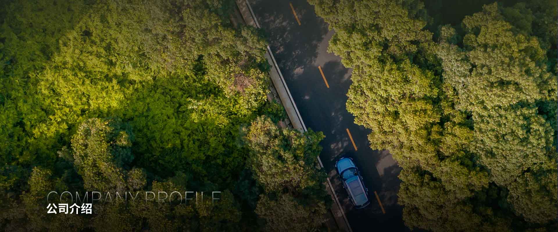 ��˾����